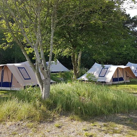 Ameland Tentenverhuur Нес Экстерьер фото