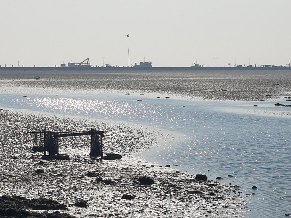 Ameland Tentenverhuur Нес Экстерьер фото